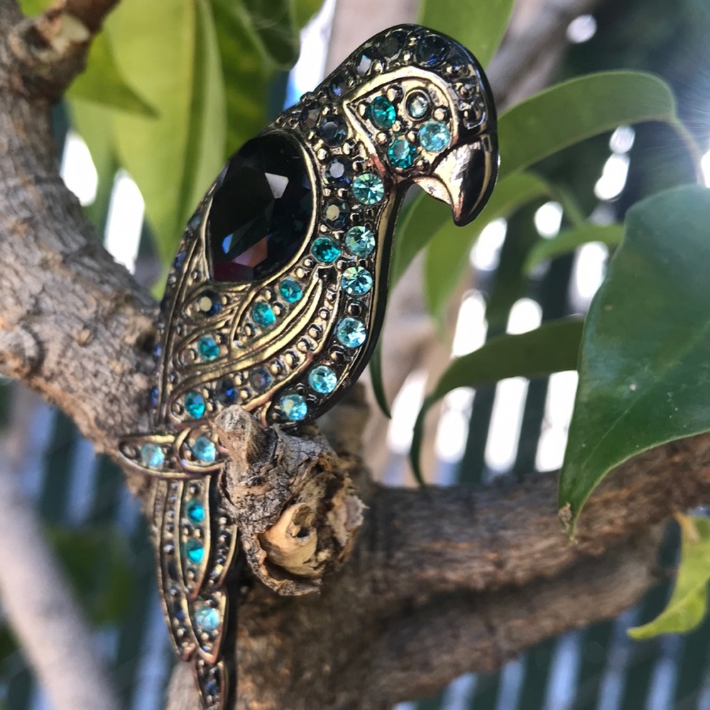 CHICOS PARROT BROOCH - Picture 2 of 5